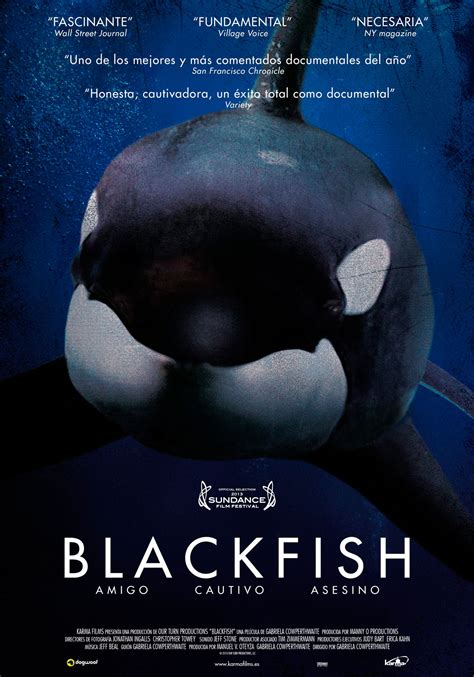 It was one of the hottest films out of Sundance, but “Blackfish” will leave you with chills. The nearly 90-minute documentary tells the story of SeaWorld trainer Dawn Brancheau, who was killed .... 