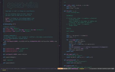Documentation Spacevim