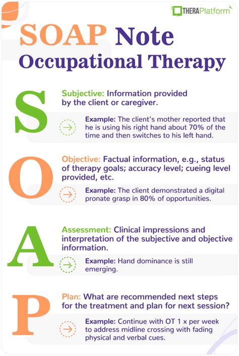 Documentation manual for writing soap notes in occupational therapy 2nd edition. - Fray perico, calcetin y el guerrillero martn.