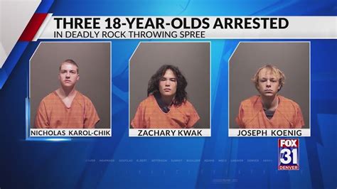 Documents show rock-throwing suspect said they were 'blood brothers' after spree