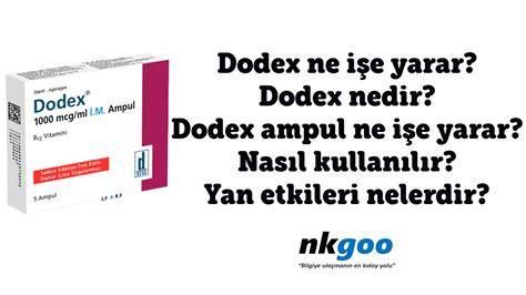 Th Q Dodex Kapsul