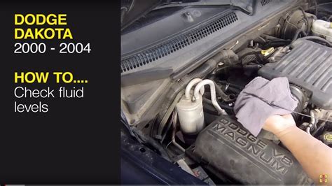 Dodge dakota manual transmission oil change. - Mayo clinic s guide to living with a spinal cord injury.