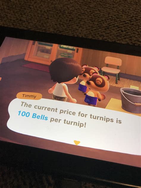 Dodo code turnip prices.  Please be mindful with entry fees and online etiquet...