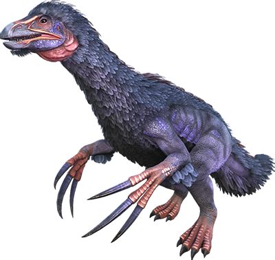 Dododex evolved.  The Tickle Chicken, also known by its more boring, scientifi...