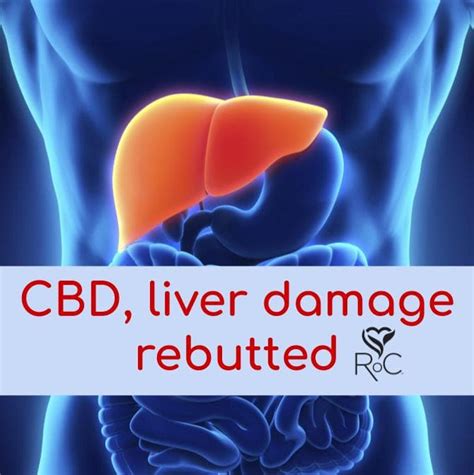 Does CBD Protect Liver Damage?