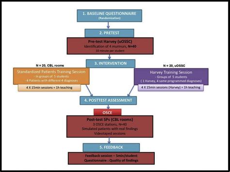 Does Cardiac Physical Exam Teaching Using a Cardiac …