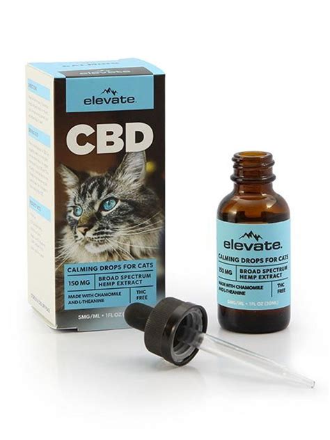 Does Cbd Help Cats Calm Down