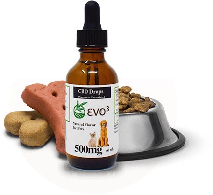 Does Cbd Oil Increase Appetite In Cats