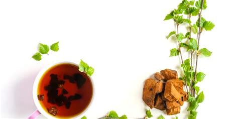 Does Chaga Mushroom Help With High Blood Pressure?