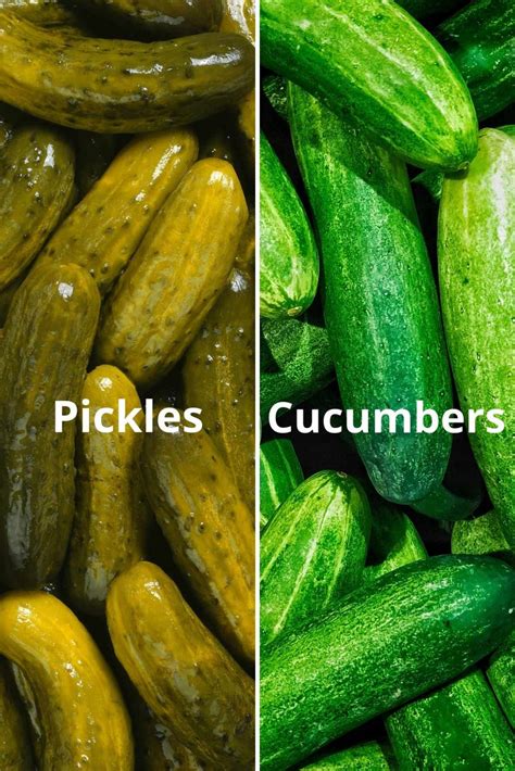 Does Cucumber Taste Different For Different People?