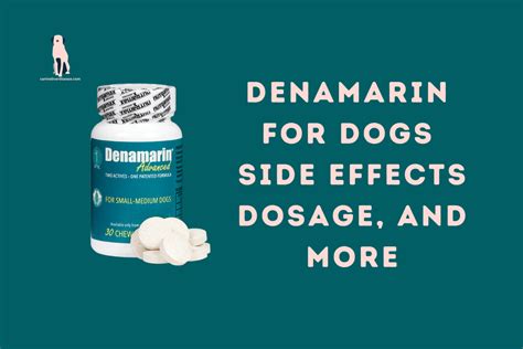 Does Denamarin For Dogs Come In Liquid Form