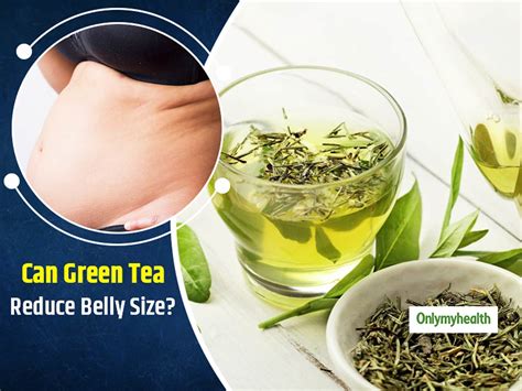 Does Green Tea Extract Burn Belly Fat (Updated 2024)