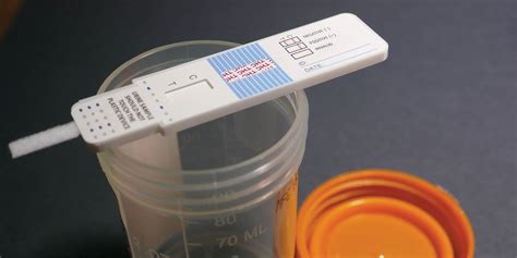 Does Hydrogen Peroxide Pass A Urine Drug Test