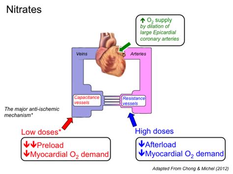 Does Nitro affect heart rate? – TeachersCollegesj