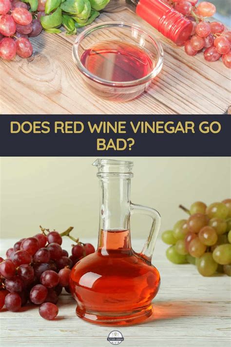 Does Red Wine Vinegar Go Bad: Can You Still Use It?