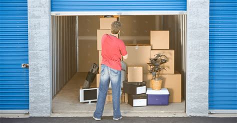 Does Renters Insurance Cover Rat Damage In Storage Units