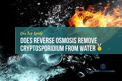 Does Reverse Osmosis Remove Cryptosporidium from Water?