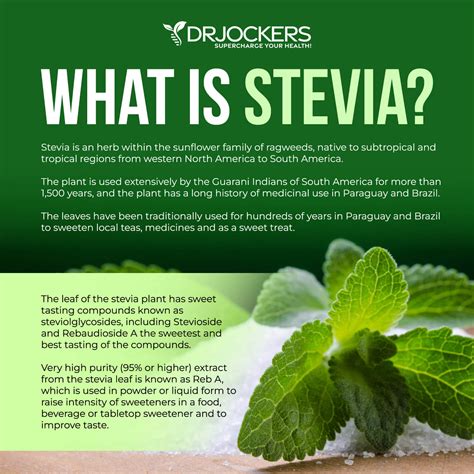 Does Stevia Cause Cancer? - medicinenet.com