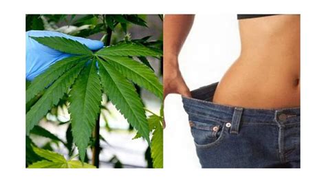 Does THC Increase Your Metabolism? livestrong