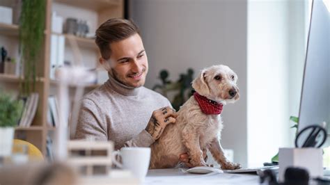 Does allstate offer pet insurance. Things To Know About Does allstate offer pet insurance. 