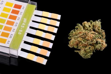 Does amazon dsp test for thc. Amazon will no longer test most job applicants for marijuana use in the latest sign of America's changing relationship with pot. Amazon, the second-largest private employer in the U.S., also... 