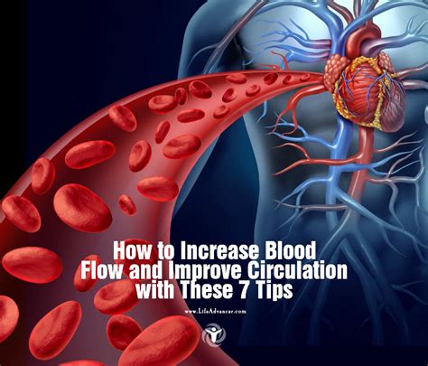 Does blood flow increase with blood pressure? - BYJU