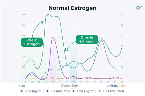 Does dancing increase estrogen