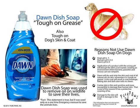 Does dawn dish detergent kill fleas. Things To Know About Does dawn dish detergent kill fleas. 
