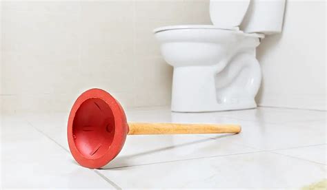 Does dollar general sell plungers. Things To Know About Does dollar general sell plungers. 