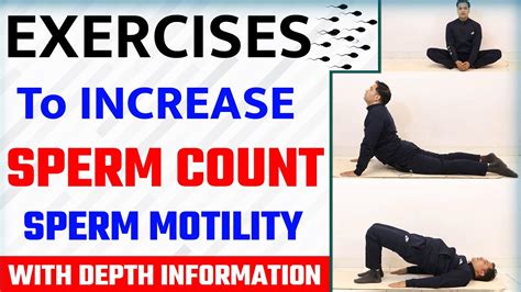 Does exercise increase sperm count.  Regular moderate exercise significantly improves sperm ...