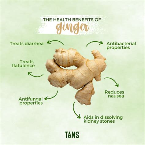 Does ginger have iron.  The proximate, The review presents a comprehensive overv...
