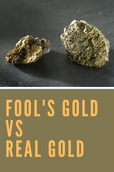 Does gold. The late origin of the geological formation of Palestine and Syria precludes the possibility of gold being found in any quantities (see METALS), so that the large quantities of gold used by the children of Israel in constructing their holy places was not the product of mines in the country, but was from the spoil taken from the inhabitants of ... 