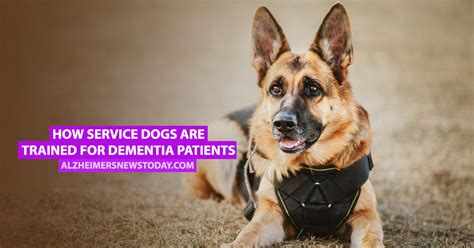 Does having a pet help those with Alzheimer’s disease? Let’s take a look