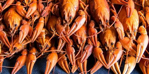 It's the perfect season to pick up live crawfish now at.