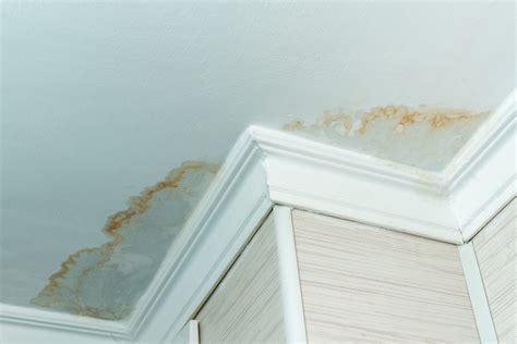 Your home insurance might cover you - if the leak was c