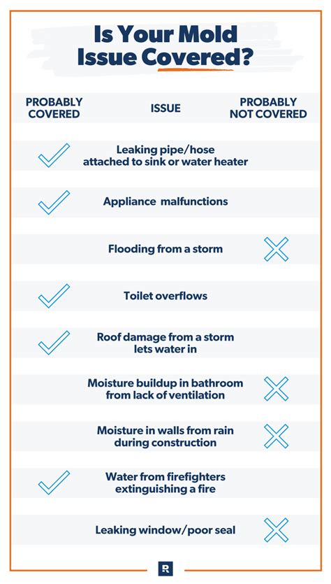 Does homeowners insurance cover mold? - Insurance.com