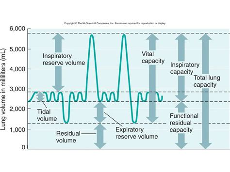 Does inspiratory reserve volume increase with exercise?