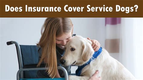 Does insurance cover service dogs. Things To Know About Does insurance cover service dogs. 