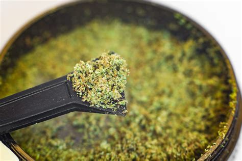Kief is a precious commodity that can enhance any flower or make other forms of concentrates. Here are a few of the available options for your kief: 1. Add Kief to Your Next Joint! Kief can pack a punch with a relatively small amount, so a fingerful can enhance any joint to potent levels. If spliffs are more your jam, kief is a great topper to .... 