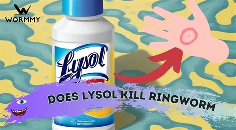 Does lysol kill ringworm. When used as directed, Lysol disinfecting sprays kill 99.9 percent of the fungus Trichophyton mentagrophytes, which is one type of fungus that causes ringworm. Unfortunately, there... 