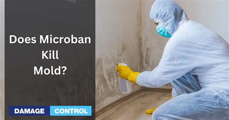 Does microban kill norovirus. Things To Know About Does microban kill norovirus. 