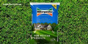 2. Next, mix Milorganite with grass seed appropriate for your climate at a 4:1 ratio by weight. This means that you should use four (4) parts Milorganite to one (1) part grass seed. The Milorganite will act as a natural fertilizer, providing the new grass with the nutrients it needs to grow strong and healthy. 3.. 