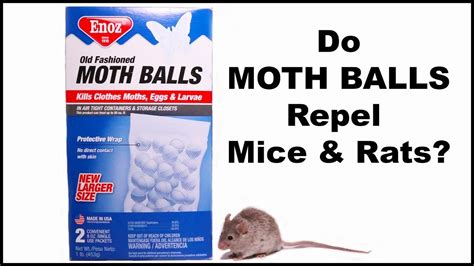 Does moth balls keep mice away. 