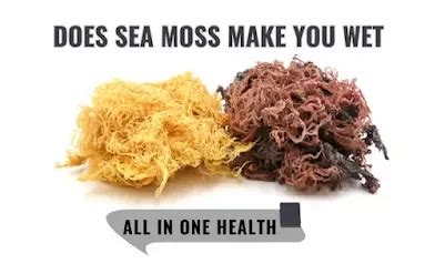 Does sea moss make you wet. Things To Know About Does sea moss make you wet. 