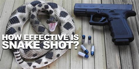 Does snake shot damage a pistol. Things To Know About Does snake shot damage a pistol. 