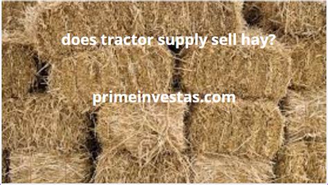 Does tractor supply sell hay. Things To Know About Does tractor supply sell hay. 