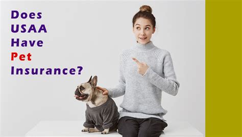 Does usaa provide pet insurance. Things To Know About Does usaa provide pet insurance. 