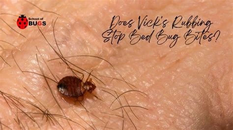 Uses for Vicks Vaporub. 1. Soothes Mosquito and Bug Bites. You must have heard about Vicks Vaporub Mosquito Repellent, but you might not know its soothing properties. The camphor, mint, and eucalyptus oil in Vicks relieve itchiness and redness caused by mosquito bites instantly. Remedy.