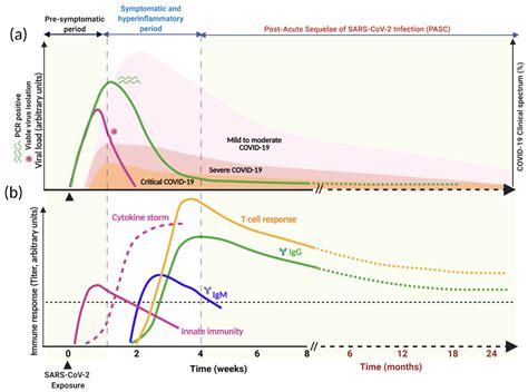 Does viral load of the initial COVID-19 infection affect its …