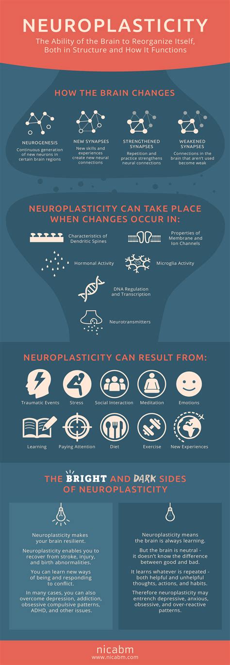 Does visualization help with neuroplasticity